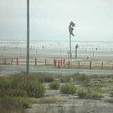 Galveston Island